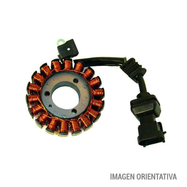 Volante Kokusan-Derbi 250 Gp1 06-07