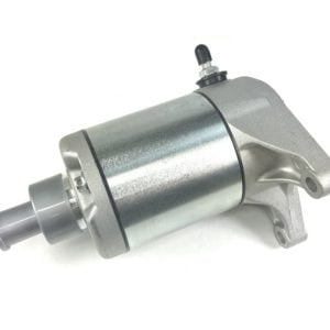 Motor de arranque Yamaha FZR1000