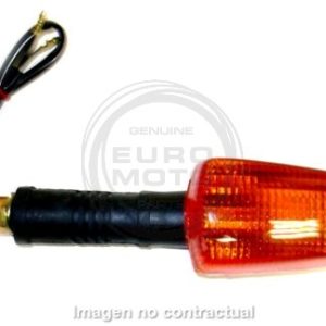 Intermitente trasero Yamaha FZR 600
