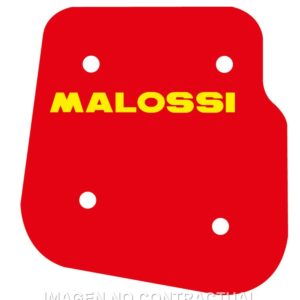 Filtro Aire Malossi Yamaha Why 50