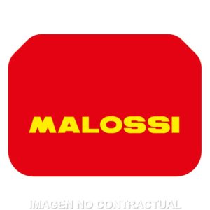 Filtro Aire Adaptable Malossi Suzuki Burgman 400