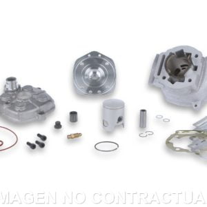 Grupo Termico Culata Y Culatín Malossi D.39,88 Derbi DRD