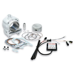 Cilindro de Malossi para Gilera Nexus 125 I