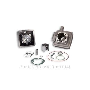 Cilindro de Malossi para Peugeot SPX