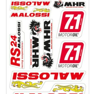 Hoja adhesivos Malossi Varios