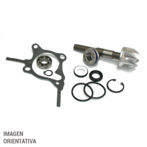 Bomba Agua Sgr Honda 250 Nss Jazz-Abs 01-04