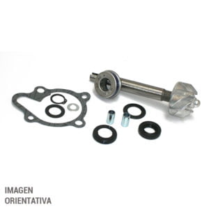 Bomba Agua Sgr Kymco 200 Dink 4T 06-15
