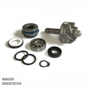 Bomba Agua Sgr Aprilia 250 Leonardo-St 99-05