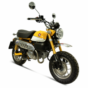 Termignoni Silencioso Honda MONKEY 125 2018-22