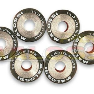 6 Rodillos Malossi HTRoll Ø17x12,3 gr.05,5 66 9999.D0