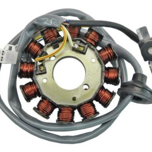 Stator TECNIUM - Minarelli horizontal 12 Bobinas E1803100